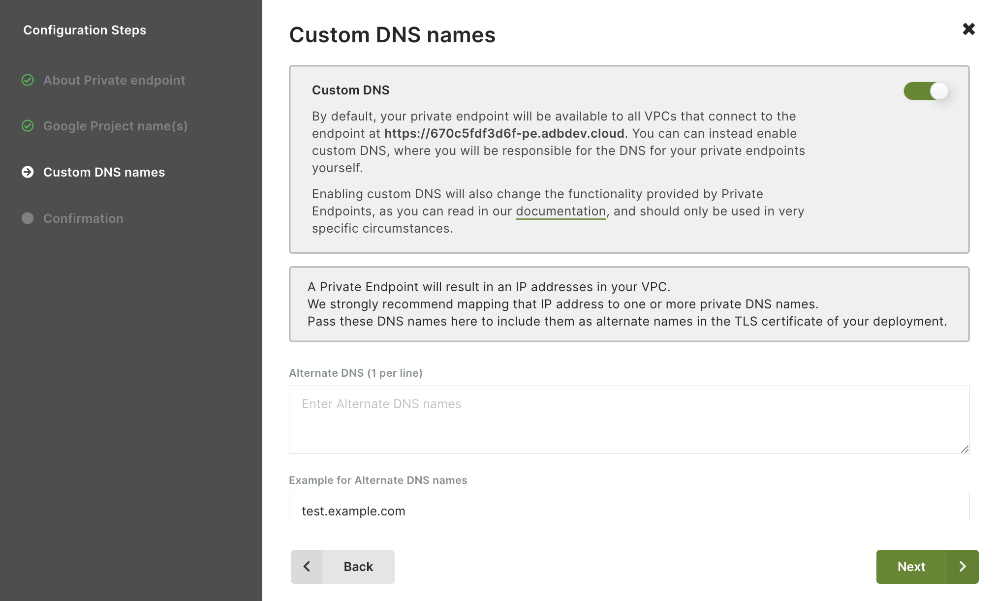 ArangoGraph Private Endpoint Custom DNS